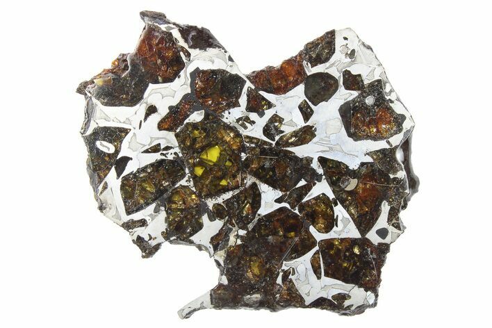 Pallasite Meteorite ( g) Slice - NWA #266441